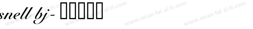 snell bj字体转换